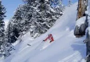Freeriding