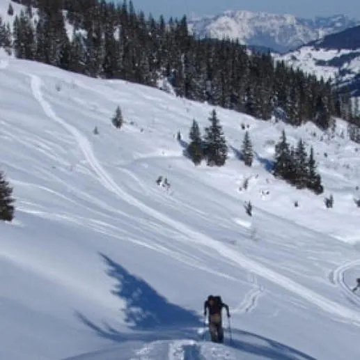 Wildschoenau-Kelchsau-Alpbachtal
