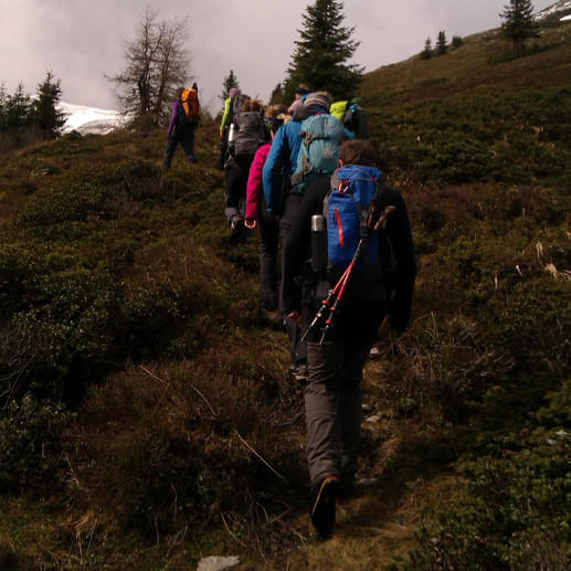 Tages-Wanderungen-Wildschoenau